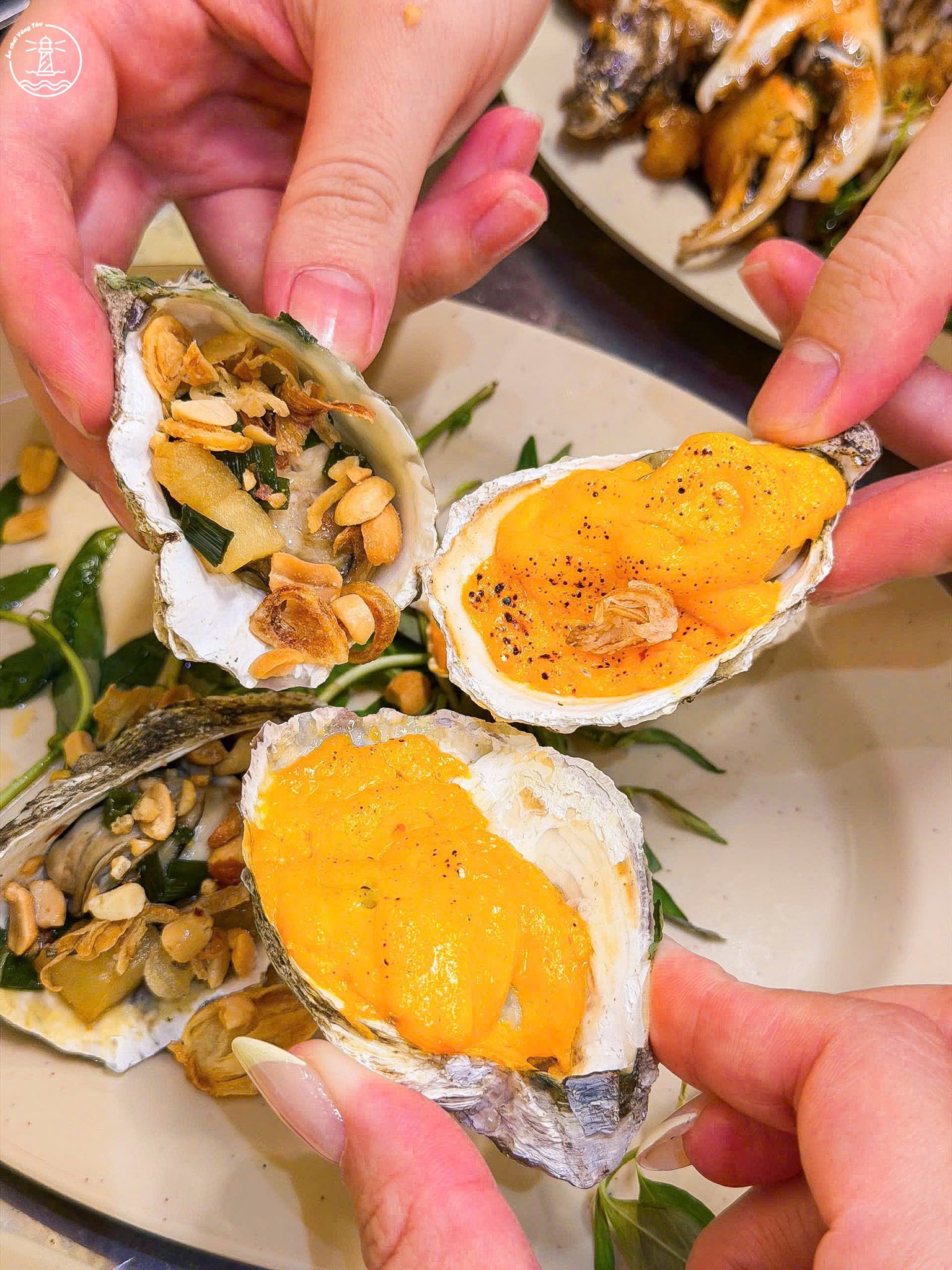 Lẩu 100k Vũng Tàu: Địa Điểm 'Quốc Dân' Có Thật Sự Ngon? - hình 8