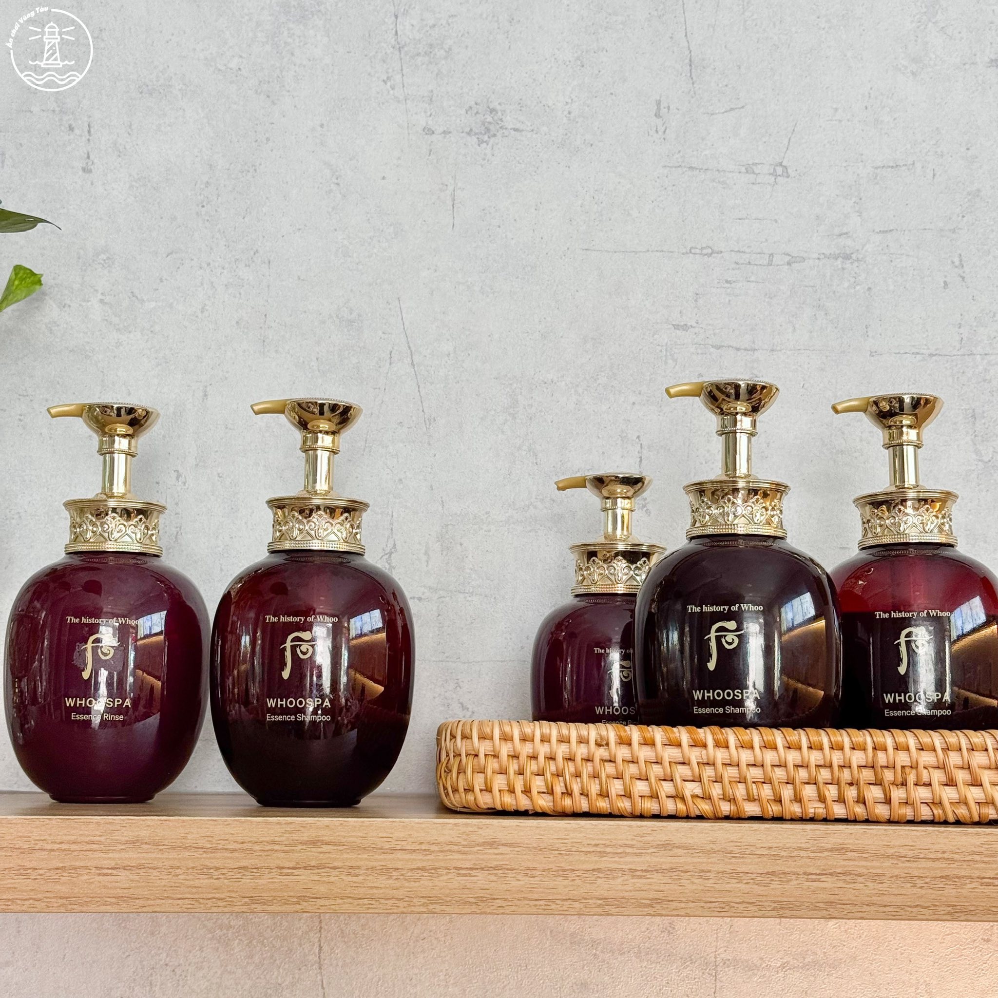Sophi Spa Vũng Tàu: Khoảng Trời Thư Giãn Giữa Phố Biển - hình 4