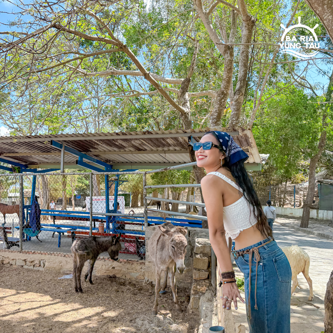 Tour đêm Hồ Mây: Góc nhìn khác lạ về Vũng Tàu từ độ cao 250m - hình 15