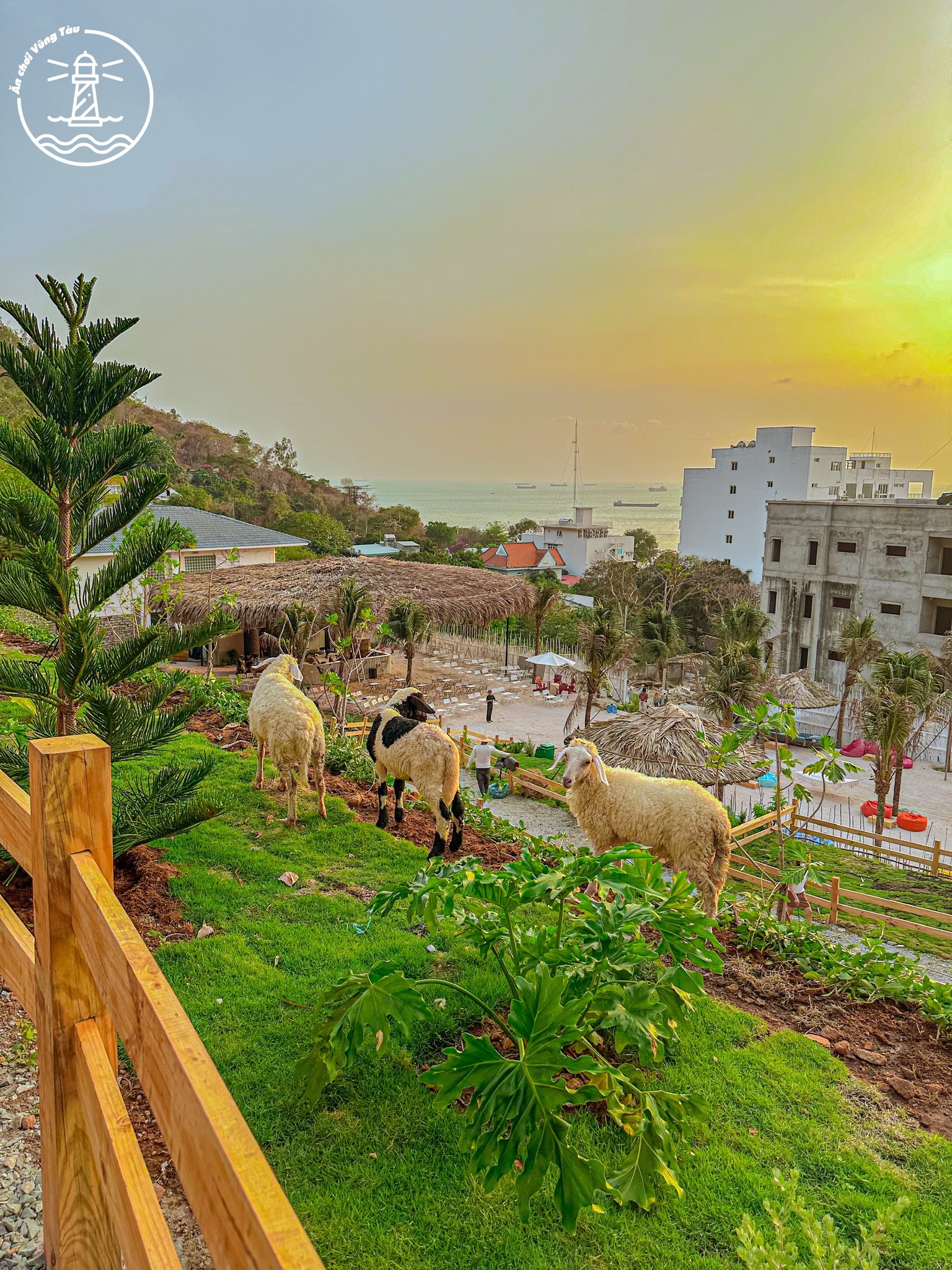 Ulala Farm Vũng Tàu: Lạc vào nông trại Đà Lạt giữa phố biển - hình 11
