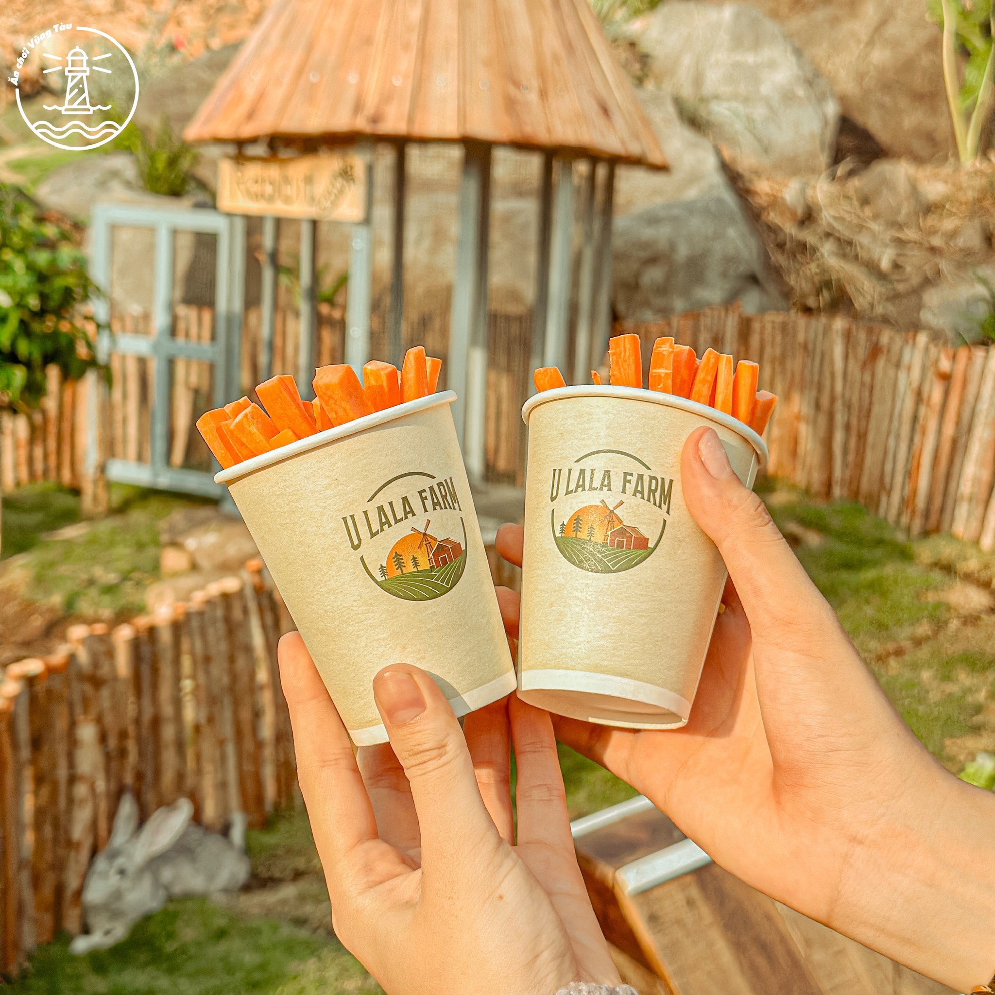 Ulala Farm Vũng Tàu: Lạc vào nông trại Đà Lạt giữa phố biển - hình 12