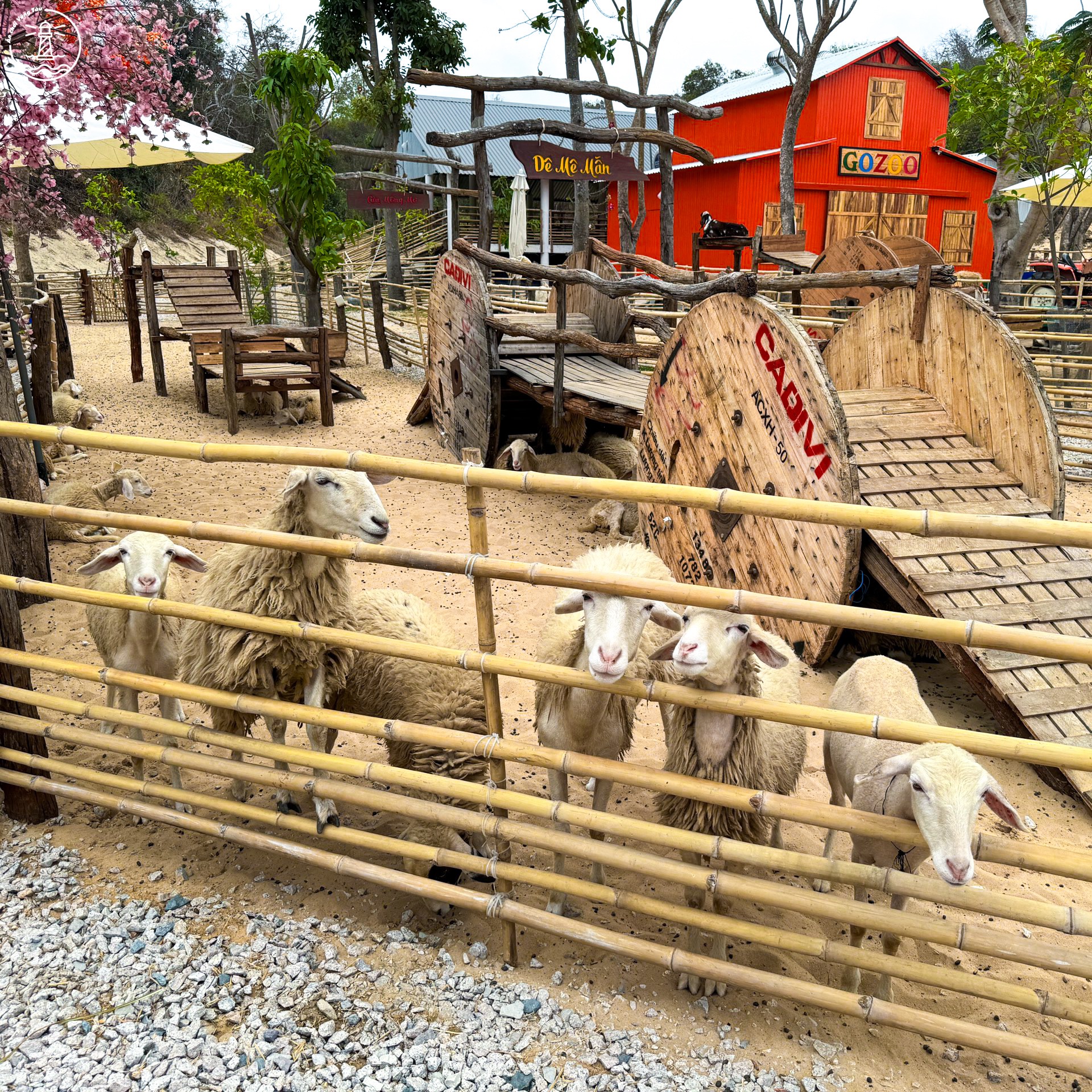 Gozoo Farm Đất Đỏ: Lạc bước giữa nông trại phong cách Âu Nhật - hình 13