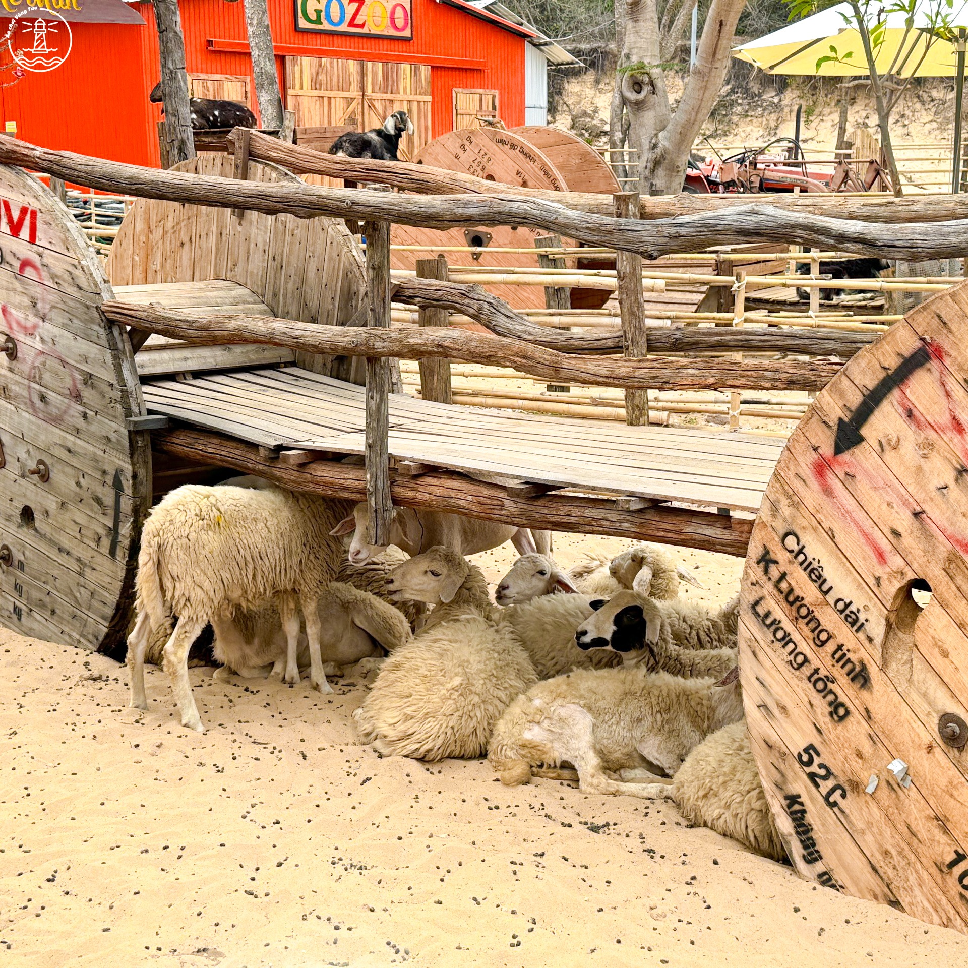 Gozoo Farm Đất Đỏ: Lạc bước giữa nông trại phong cách Âu Nhật - hình 14