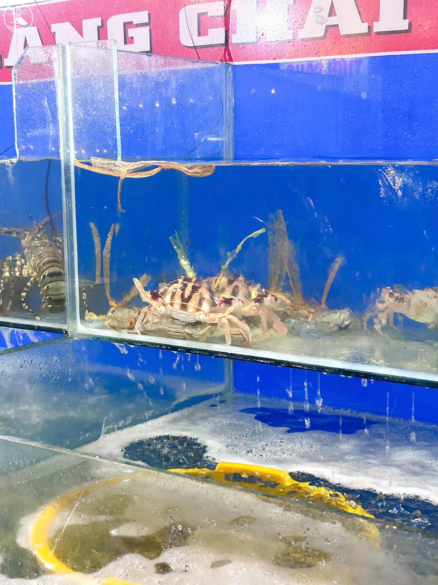 Cơm Niêu Làng Chài Phước Hải: Vị Quê Nhà Giữa Xứ Biển Hoang Sơ - hình 5