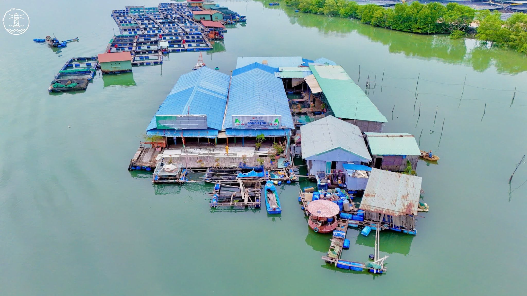 Bè Sông Rạng Long Sơn: Tự tay bắt cá, thưởng thức hải sản tươi - hình 9