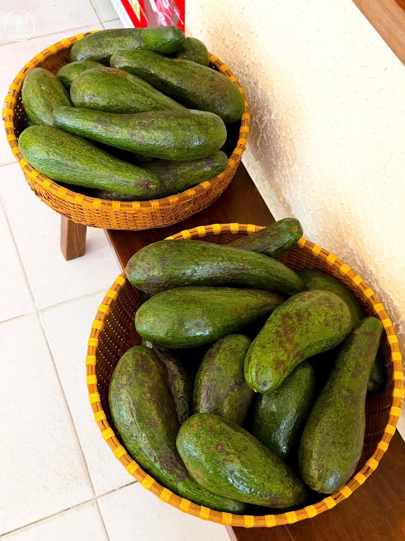 Tiệm Cà Phê Muối Lý Tự Trọng: Góc Local Bình Yên Giữa Phố Thị - hình 12