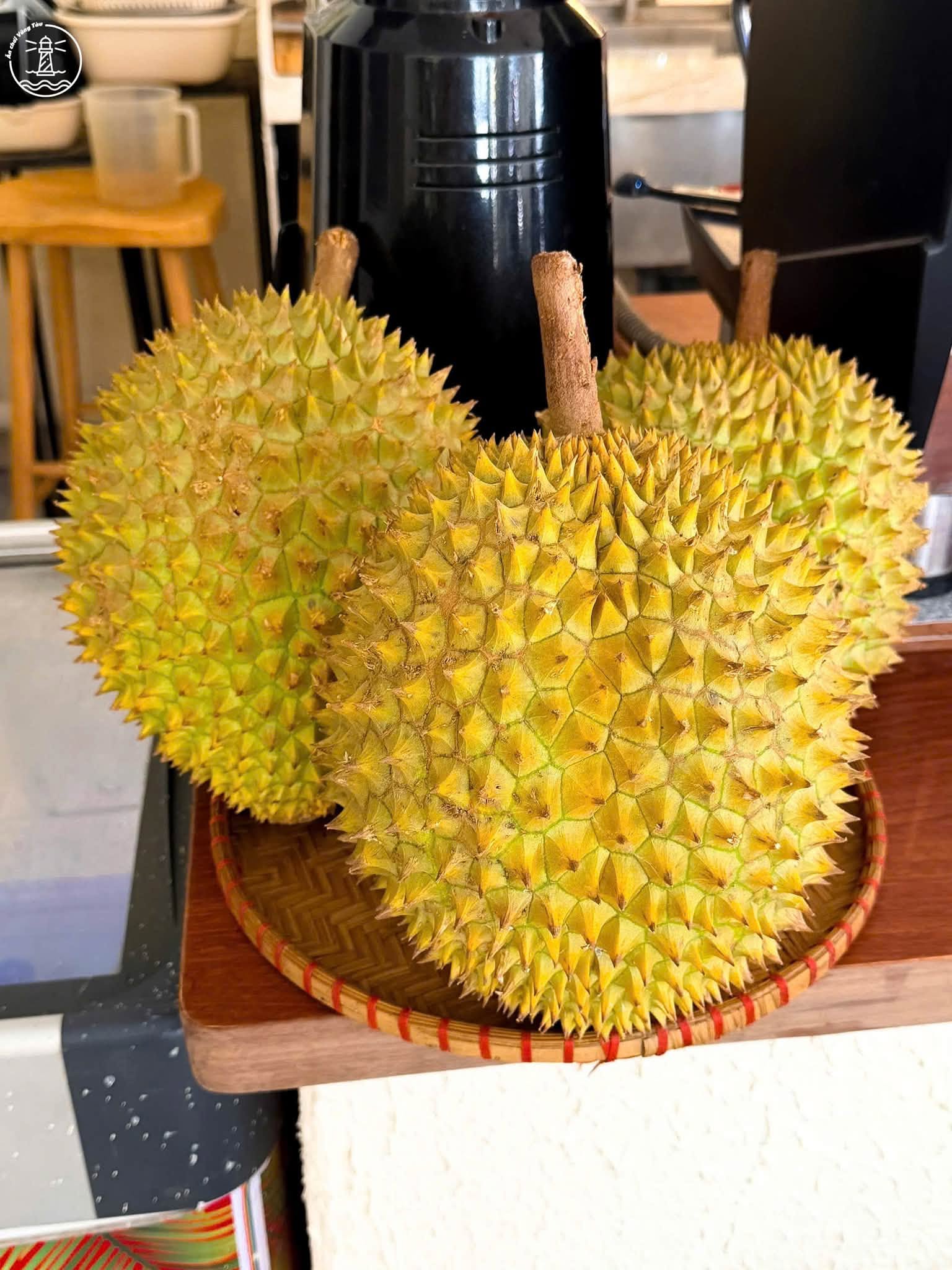 Tiệm Cà Phê Muối Lý Tự Trọng: Góc Local Bình Yên Giữa Phố Thị - hình 13
