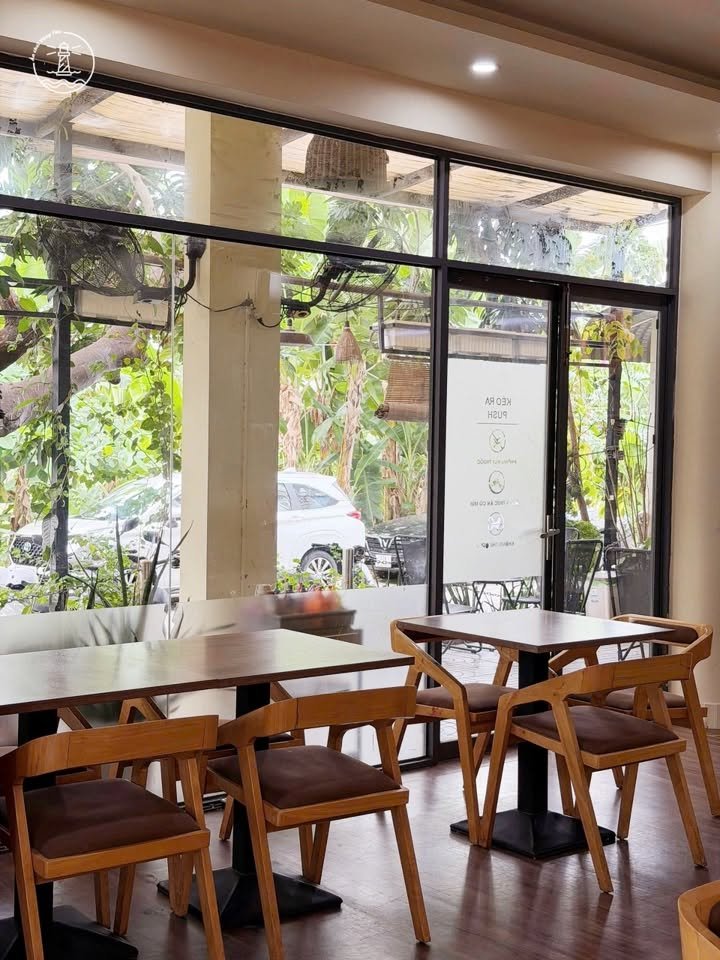 Tema Coffee Vũng Tàu: Góc xanh yên bình và Croissant kem lạ miệng - hình 11